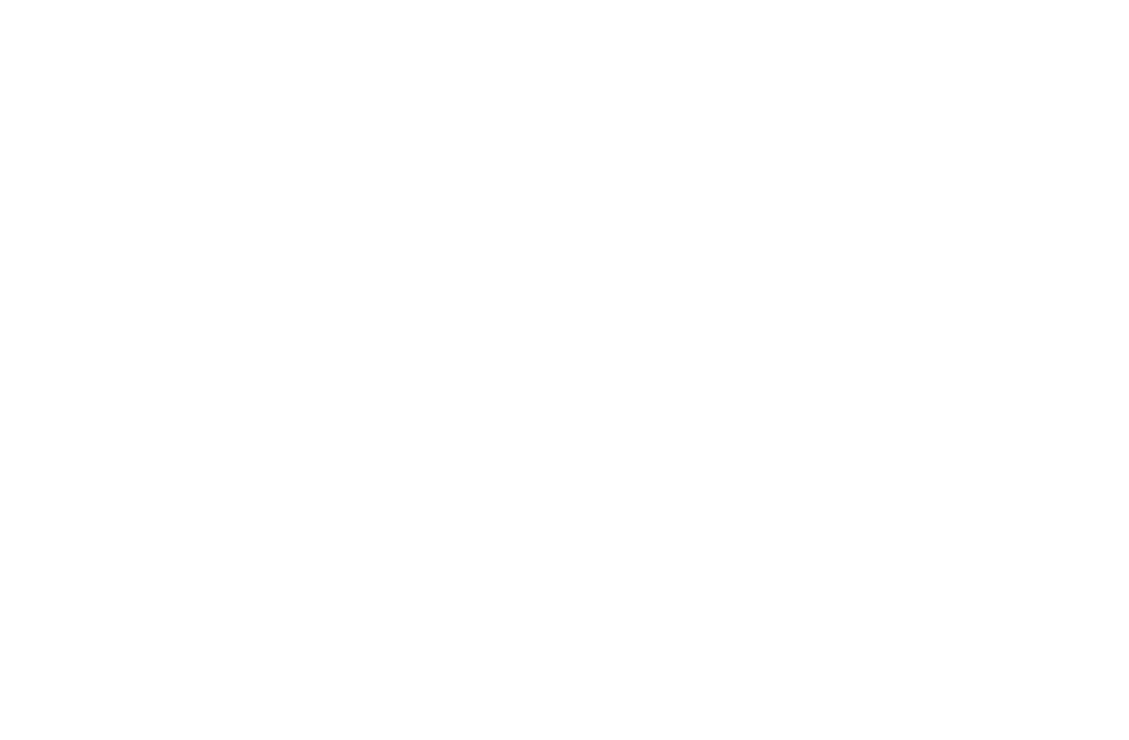 Deluxe Graphic Studio Logo W
